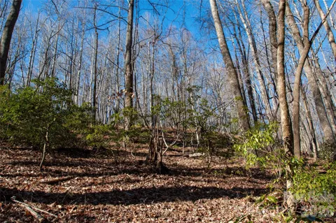 Lot 26 Big Branch Road
