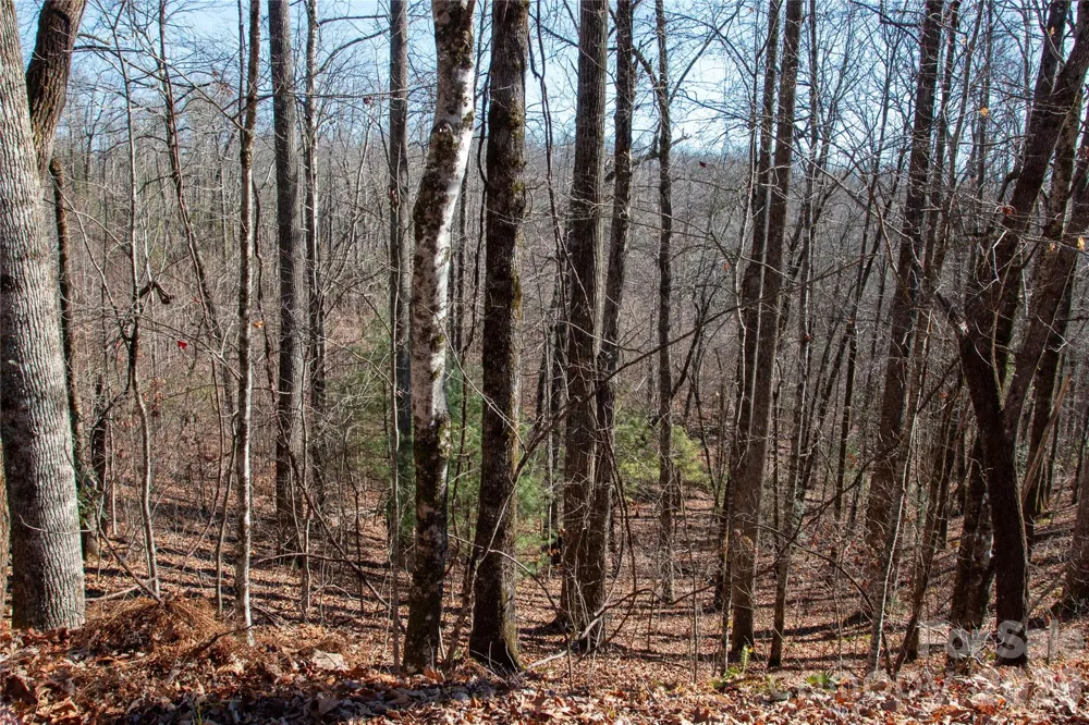 Lot 26 Big Branch Road Brevard, NC 28712