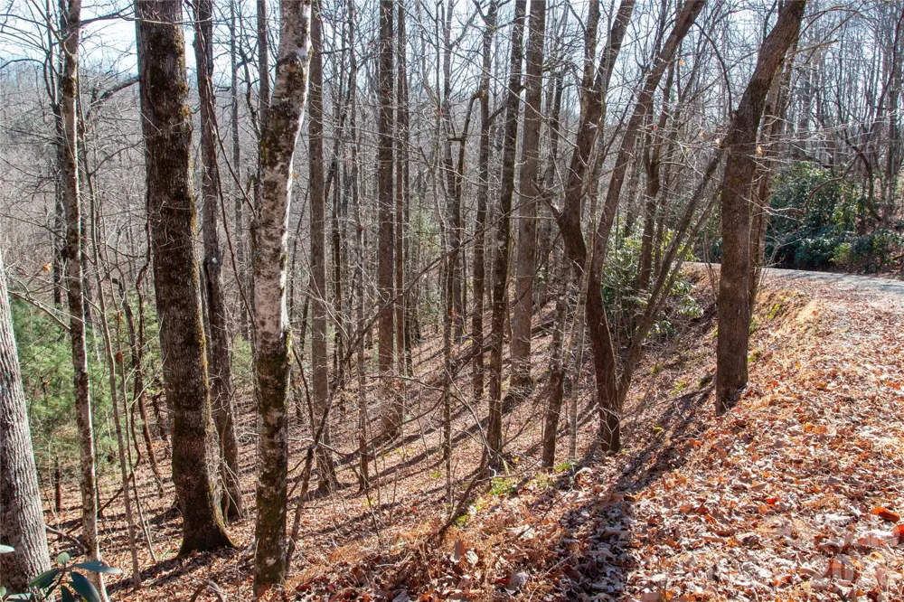 Lot 26 Big Branch Road Brevard, NC 28712