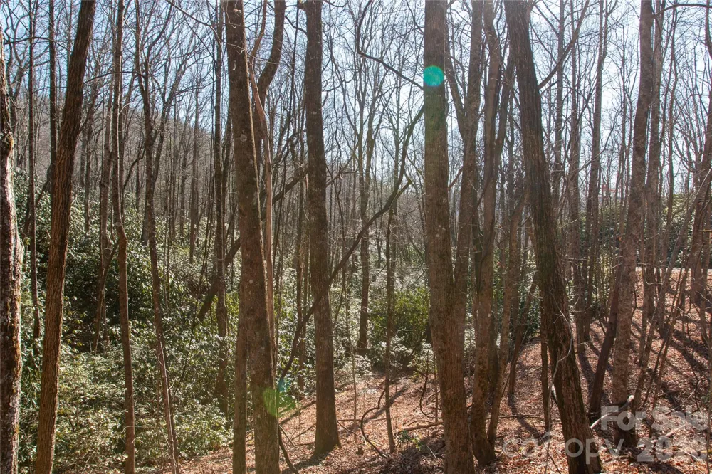 Lot 26 Big Branch Road Brevard, NC 28712