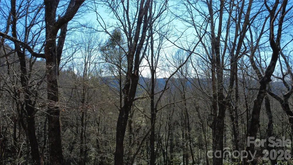 Lot 26 Big Branch Road Brevard, NC 28712