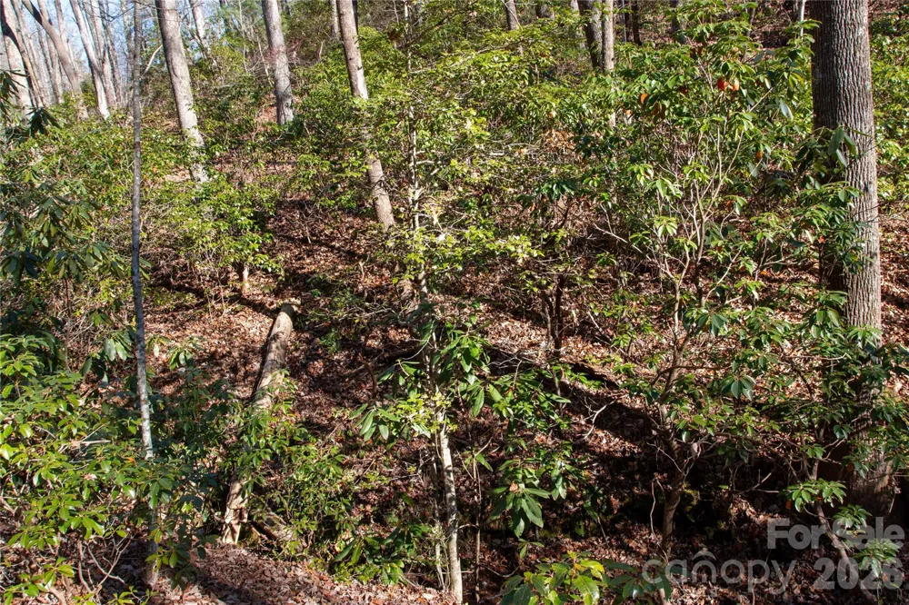 Lot 26 Big Branch Road Brevard, NC 28712