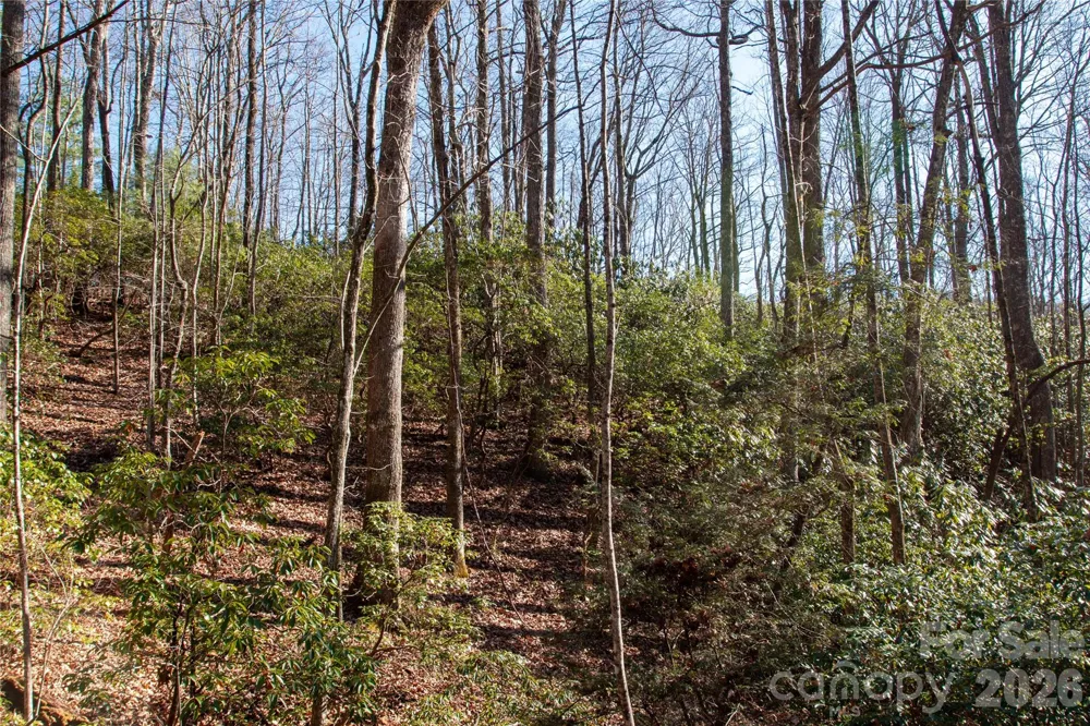 Lot 26 Big Branch Road Brevard, NC 28712