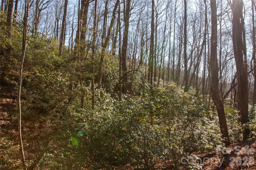 Lot 26 Big Branch Road Brevard, NC 28712