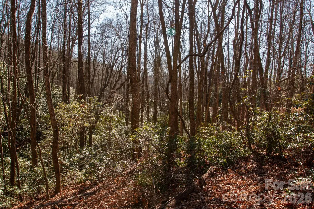 Lot 26 Big Branch Road Brevard, NC 28712