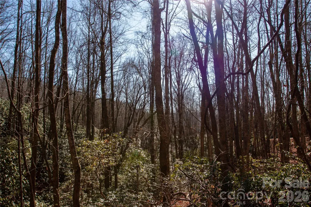 Lot 26 Big Branch Road Brevard, NC 28712