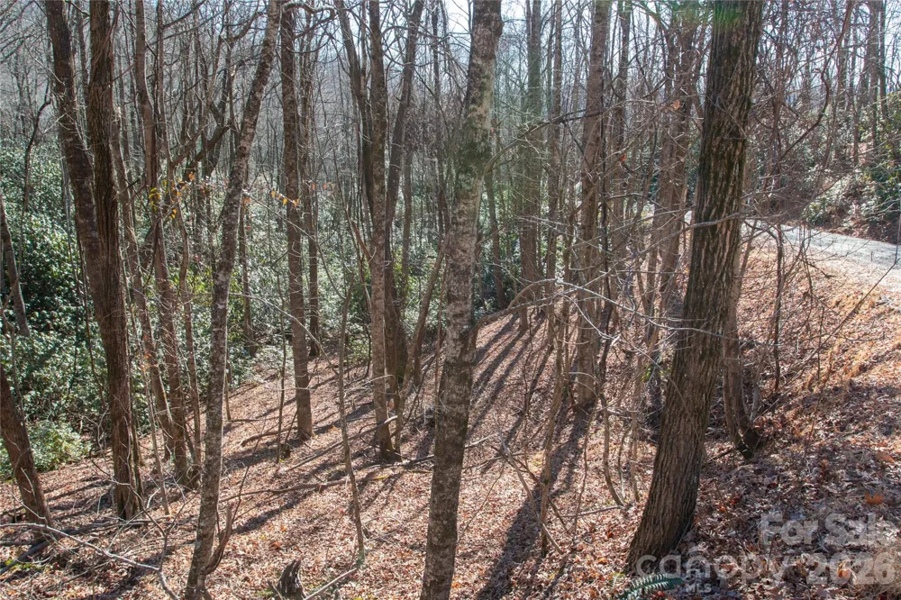 Lot 26 Big Branch Road Brevard, NC 28712
