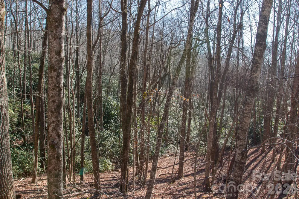 Lot 26 Big Branch Road Brevard, NC 28712
