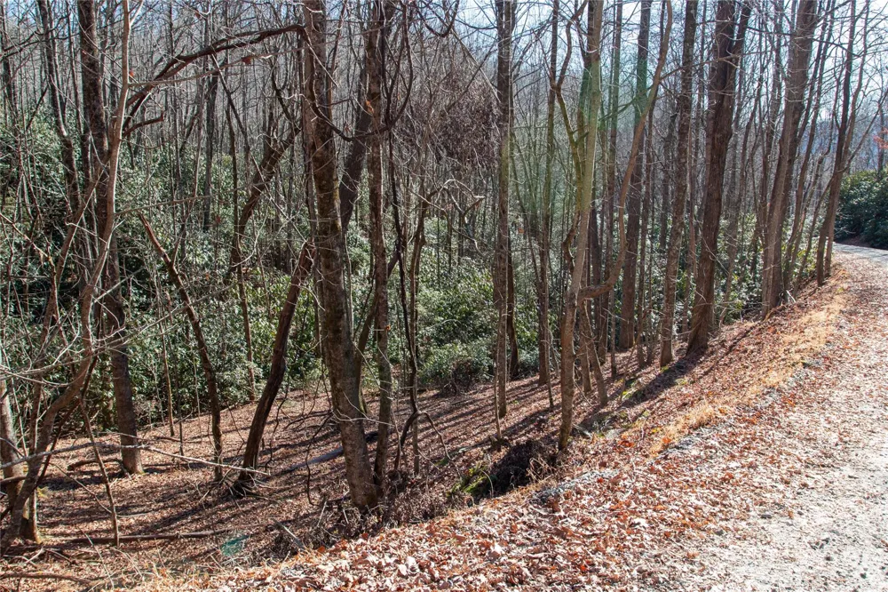 Lot 26 Big Branch Road Brevard, NC 28712