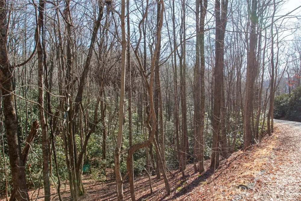 Lot 26 Big Branch Road Brevard, NC 28712