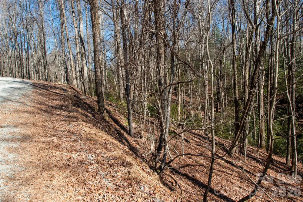 Lot 26 Big Branch Road Brevard, NC 28712