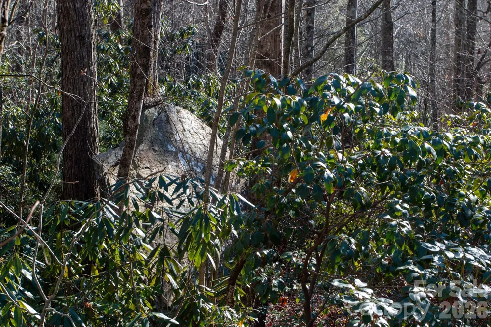 Lot 26 Big Branch Road Brevard, NC 28712