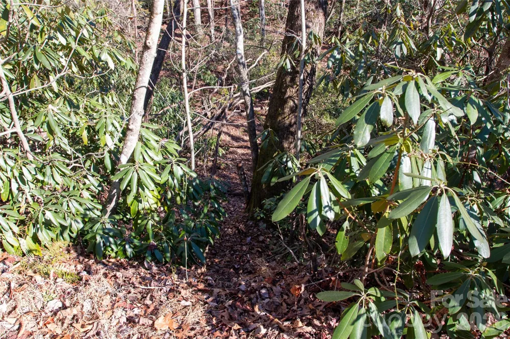 Lot 26 Big Branch Road Brevard, NC 28712