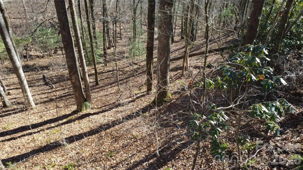 Lot 26 Big Branch Road Brevard, NC 28712