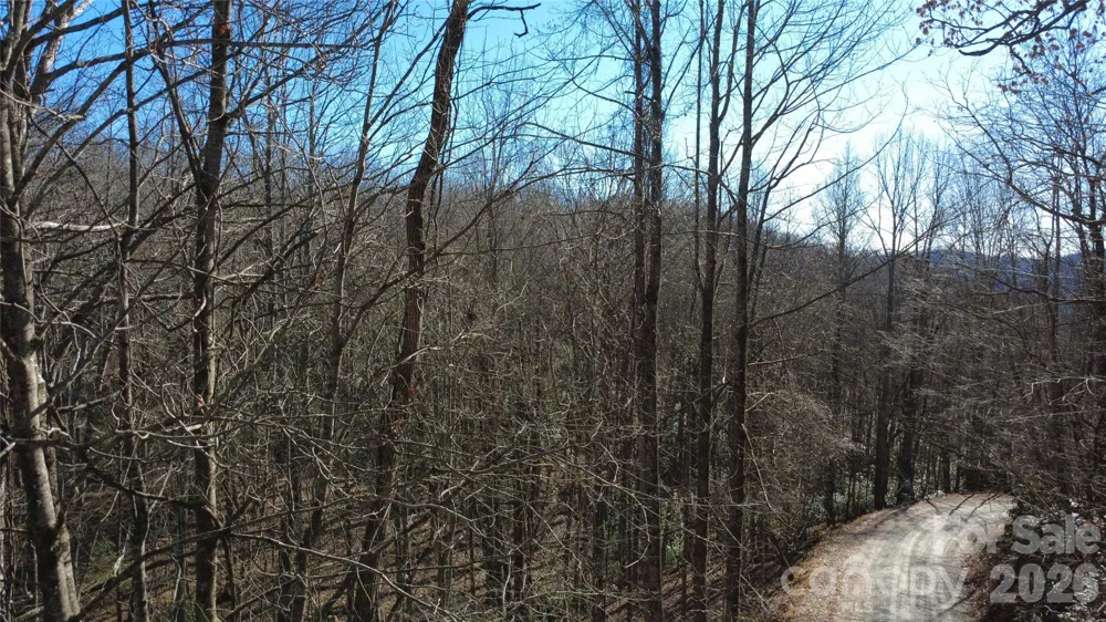 Lot 26 Big Branch Road Brevard, NC 28712