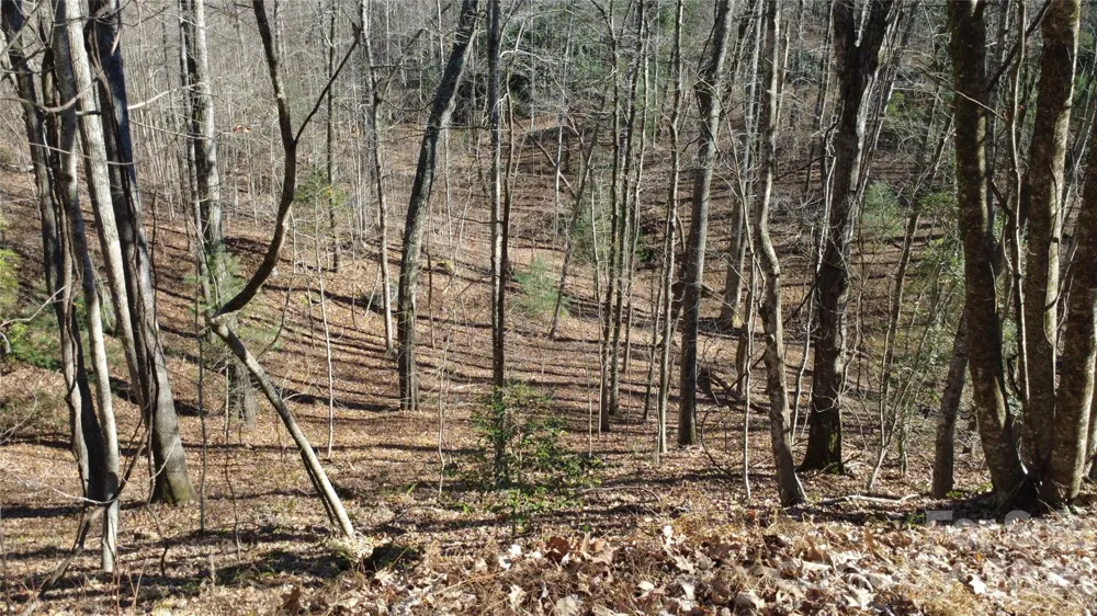 Lot 26 Big Branch Road Brevard, NC 28712