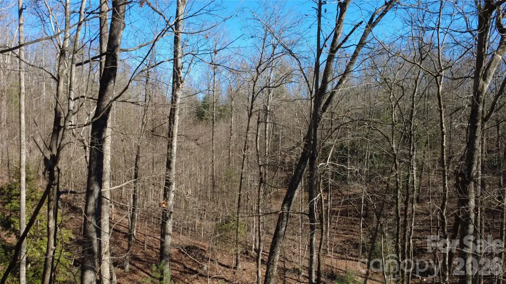 Lot 26 Big Branch Road Brevard, NC 28712