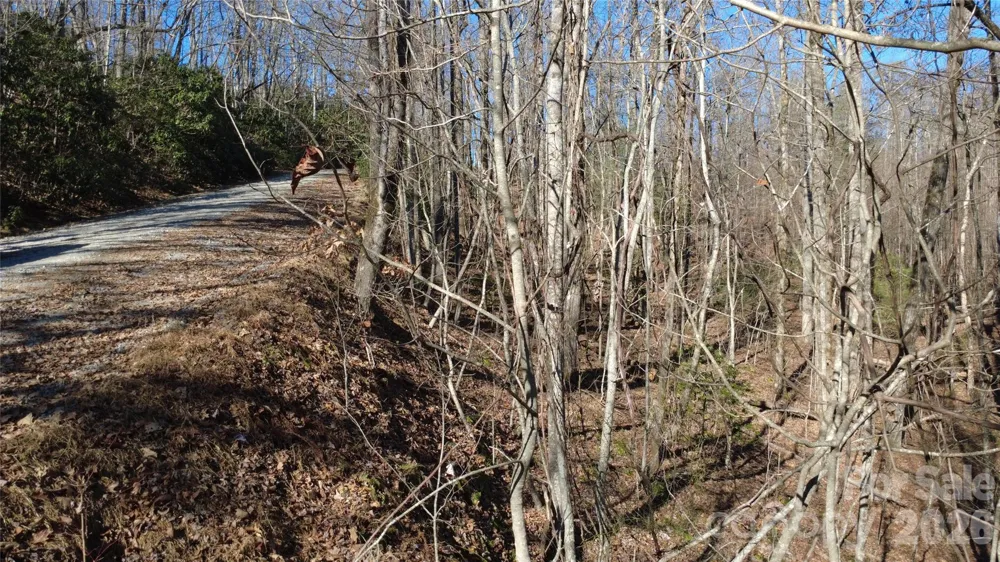 Lot 26 Big Branch Road Brevard, NC 28712