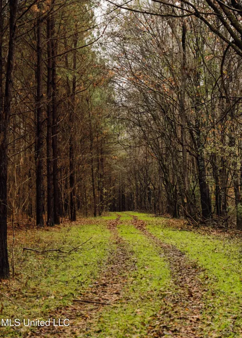 745 Black Jack Road