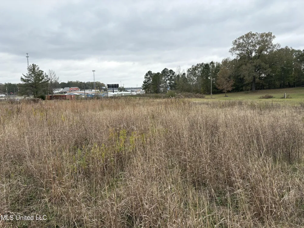 Interstate 55 Byram, MS 39272
