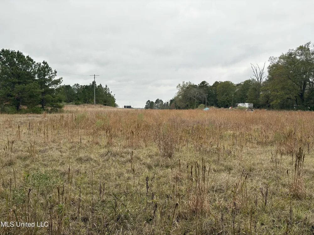 Interstate 55 Byram, MS 39272