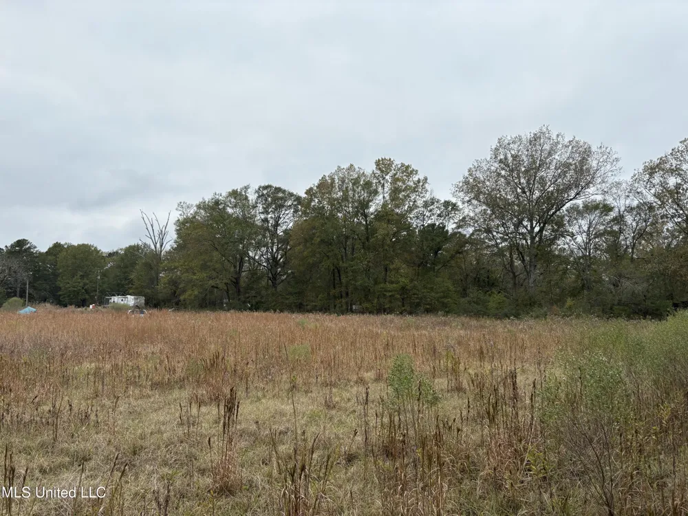 Interstate 55 Byram, MS 39272