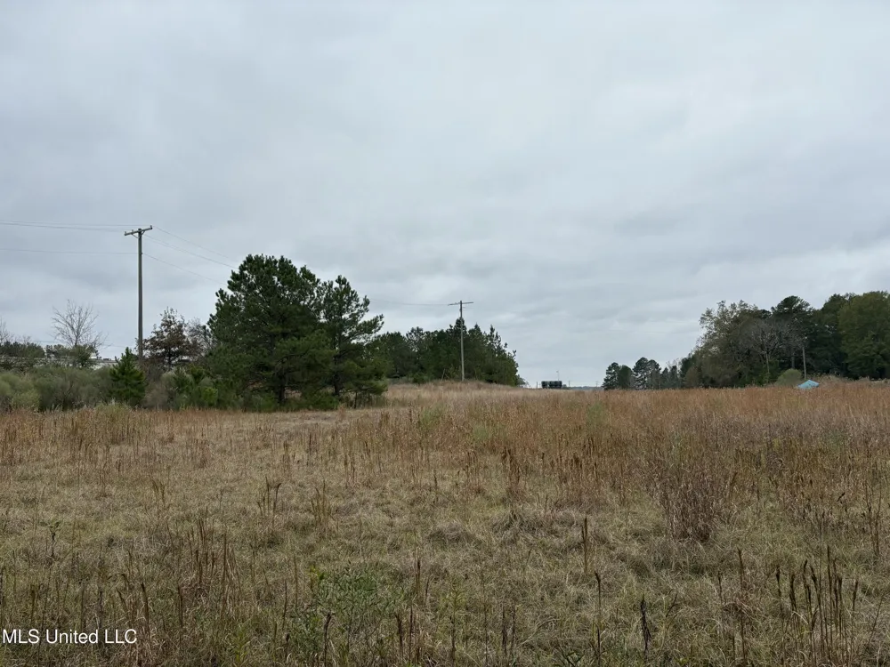Interstate 55 Byram, MS 39272