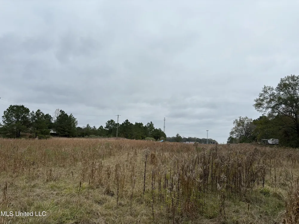 Interstate 55 Byram, MS 39272