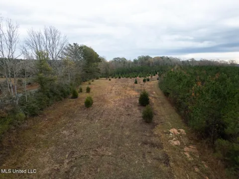 3448 Lower Centreville Road