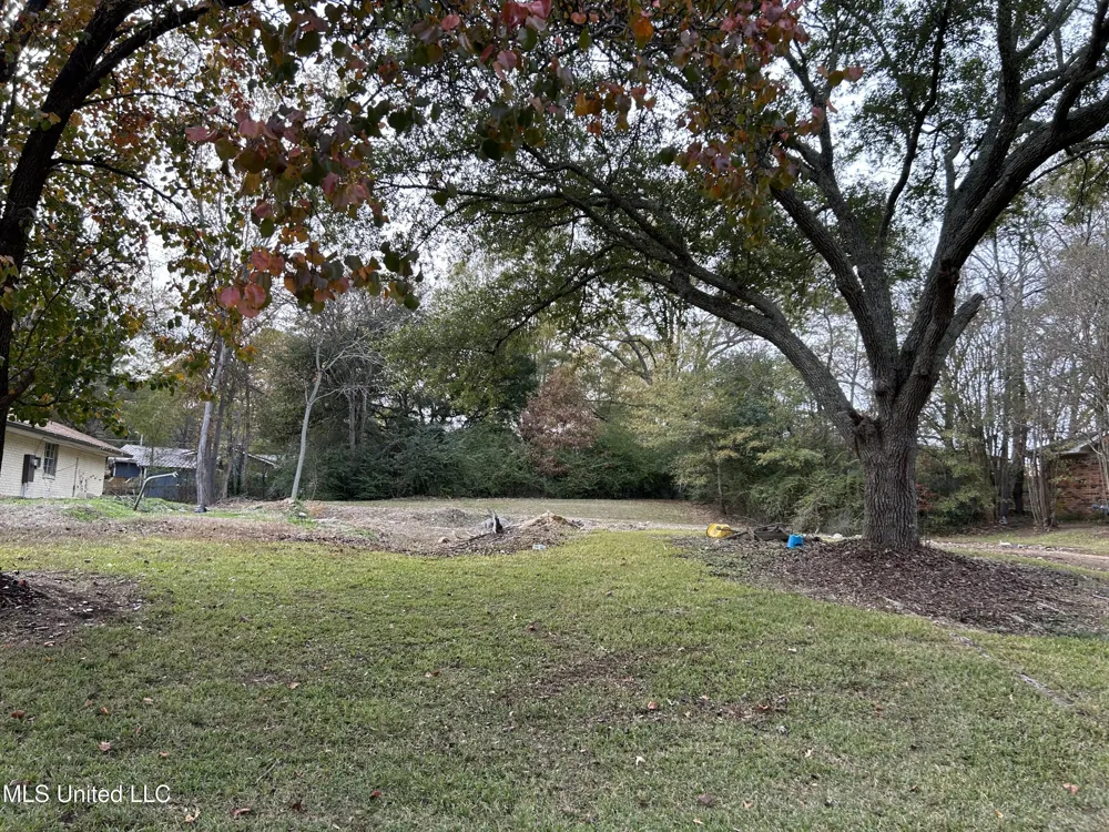 Meadow Ln Circle Clinton, MS 39056