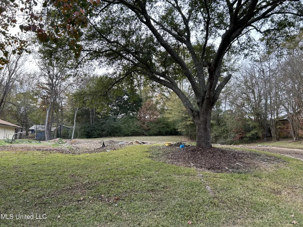 Meadow Ln Circle Clinton, MS 39056