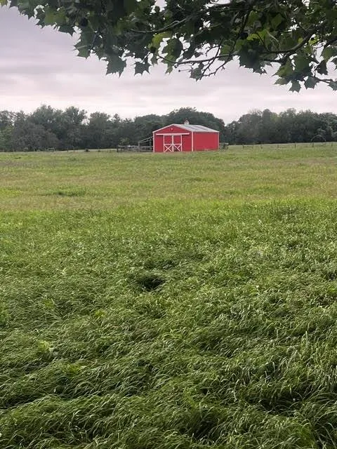 1505 Prairie Valley Road West Point, TX 78963