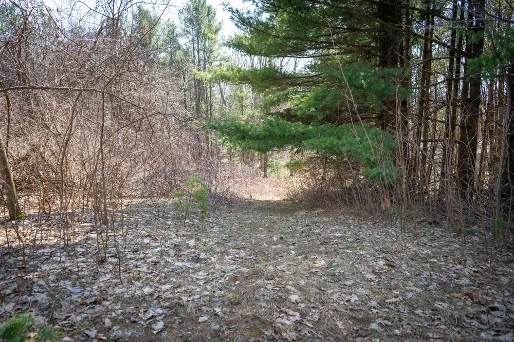 S 88th Avenue New Era, MI 49446