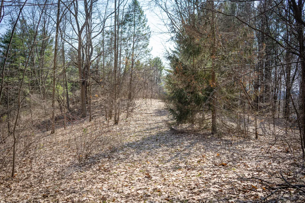 W Grant Road New Era, MI 49446