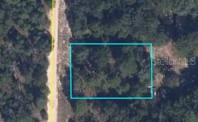 00 LEHIGH DRIVE Keystone Heights, FL 32656