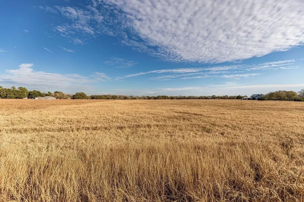 Miller Road Bellville, TX 77418
