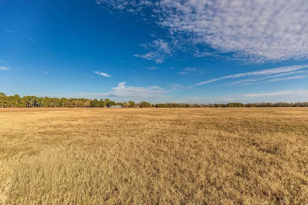 Miller Road Bellville, TX 77418