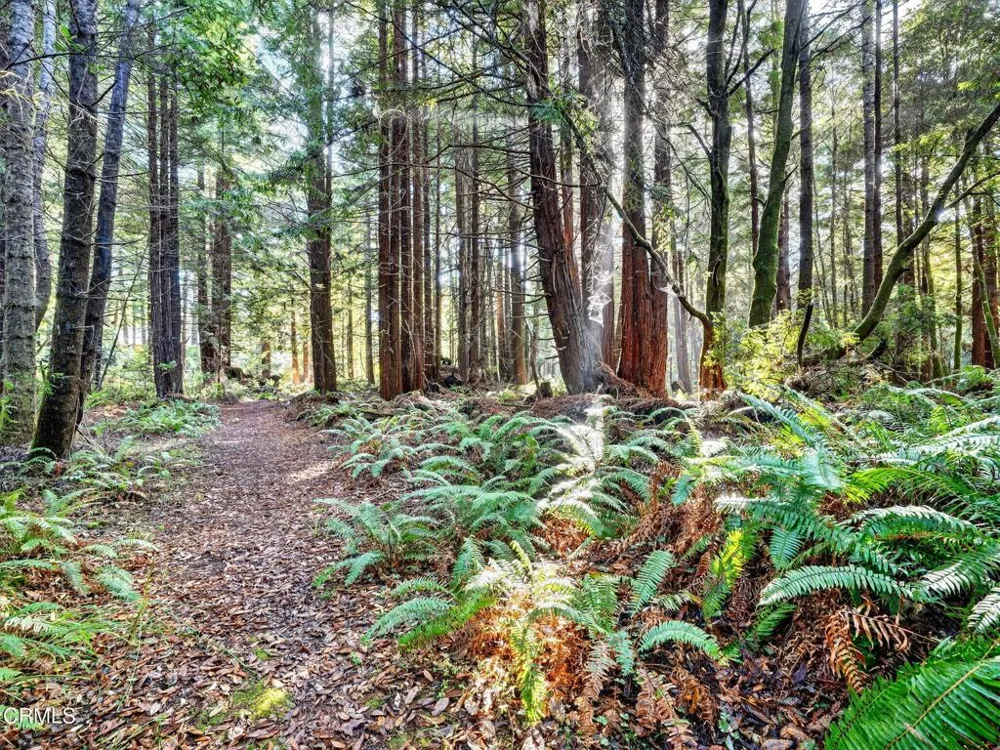 19400 Dorffi Road Fort Bragg, CA 95437