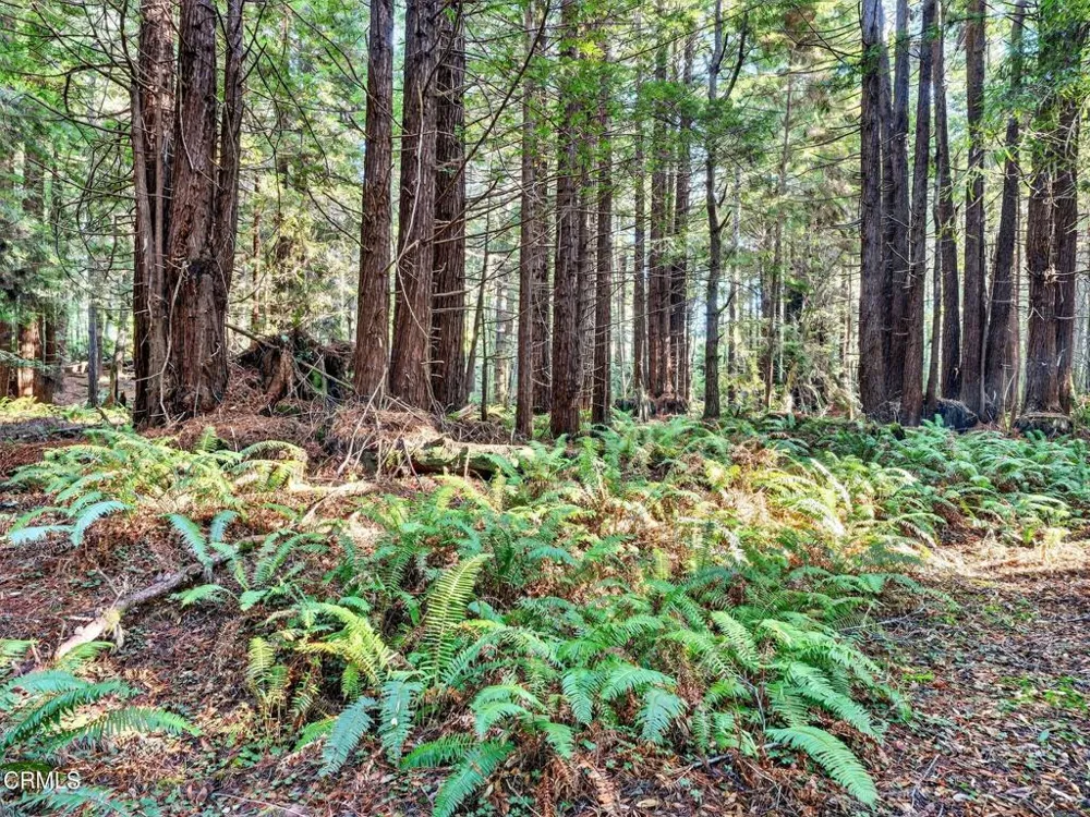 19400 Dorffi Road Fort Bragg, CA 95437