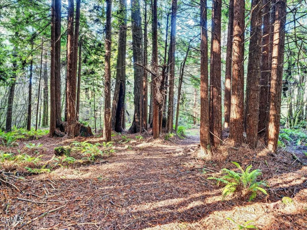 19400 Dorffi Road Fort Bragg, CA 95437