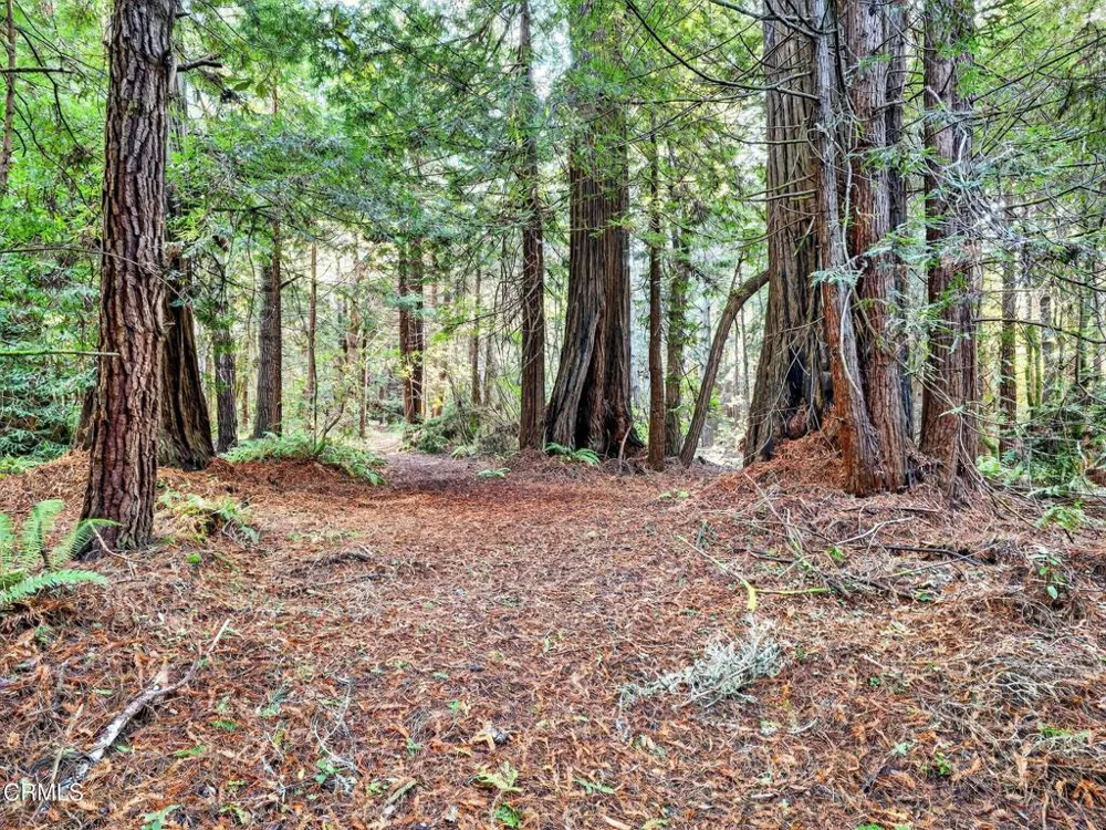 19400 Dorffi Road Fort Bragg, CA 95437