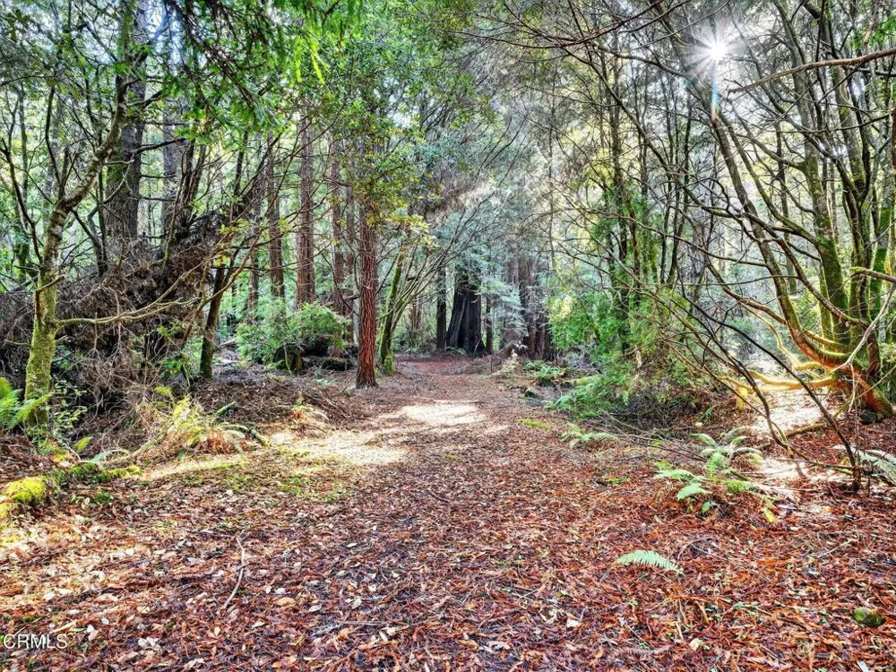 19400 Dorffi Road Fort Bragg, CA 95437