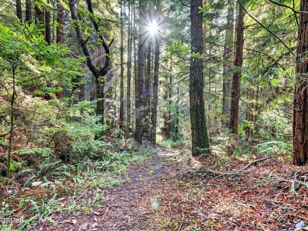 19400 Dorffi Road Fort Bragg, CA 95437