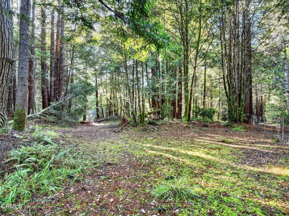 19400 Dorffi Road Fort Bragg, CA 95437