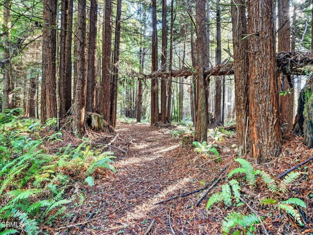 19400 Dorffi Road Fort Bragg, CA 95437