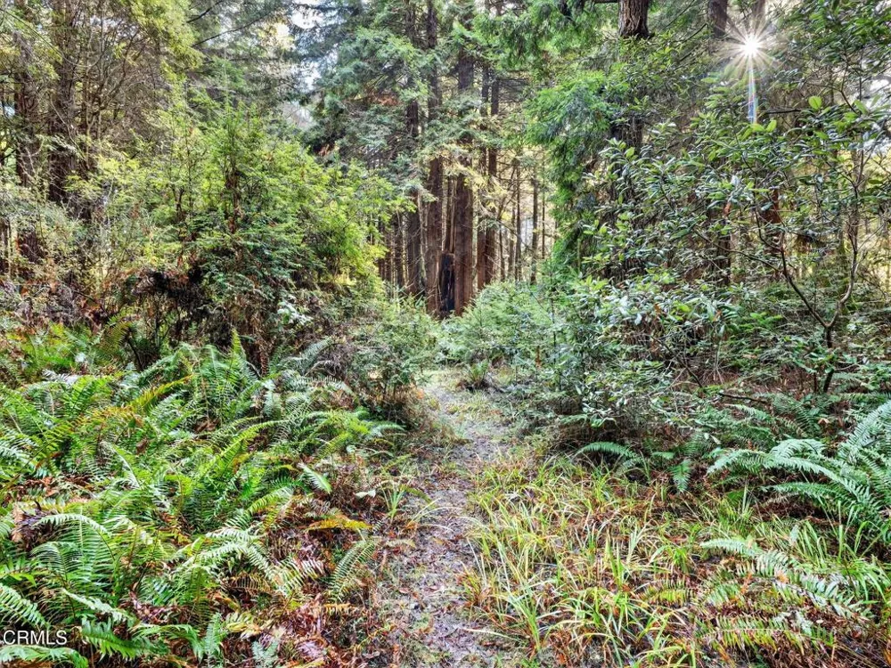 19400 Dorffi Road Fort Bragg, CA 95437