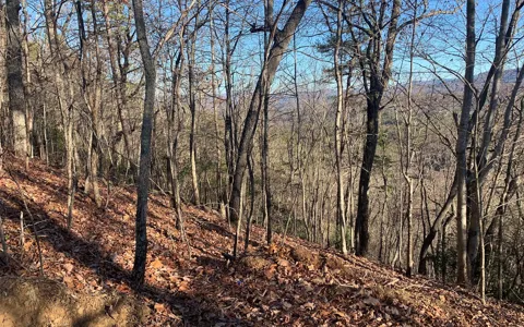 LOT25 Laurel Mountain Drive
