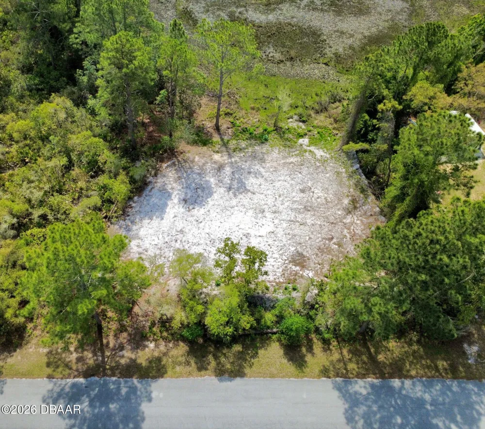 Viola Avenue Eustis, FL 32736