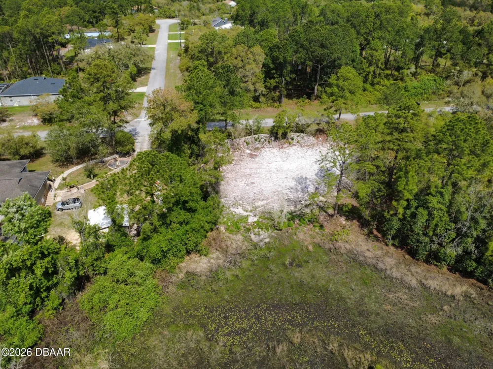 Viola Avenue Eustis, FL 32736