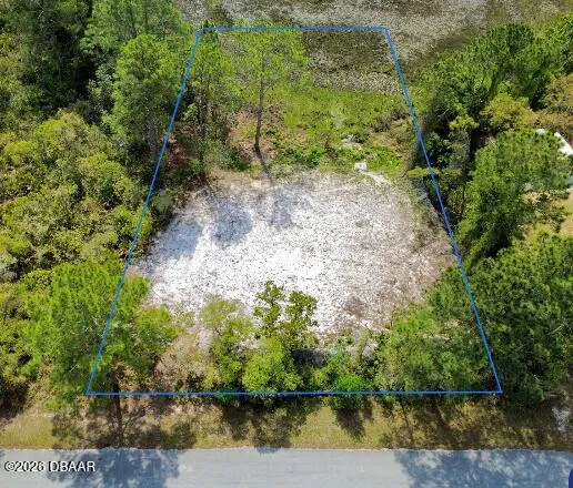 Viola Avenue Eustis, FL 32736